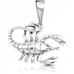 Znak zodiaku skorpion