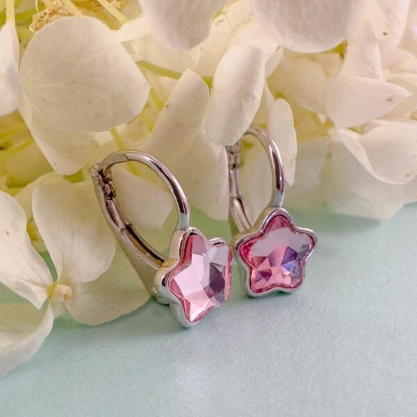 a049c17c2c26c53ceb2d9d5577f73458